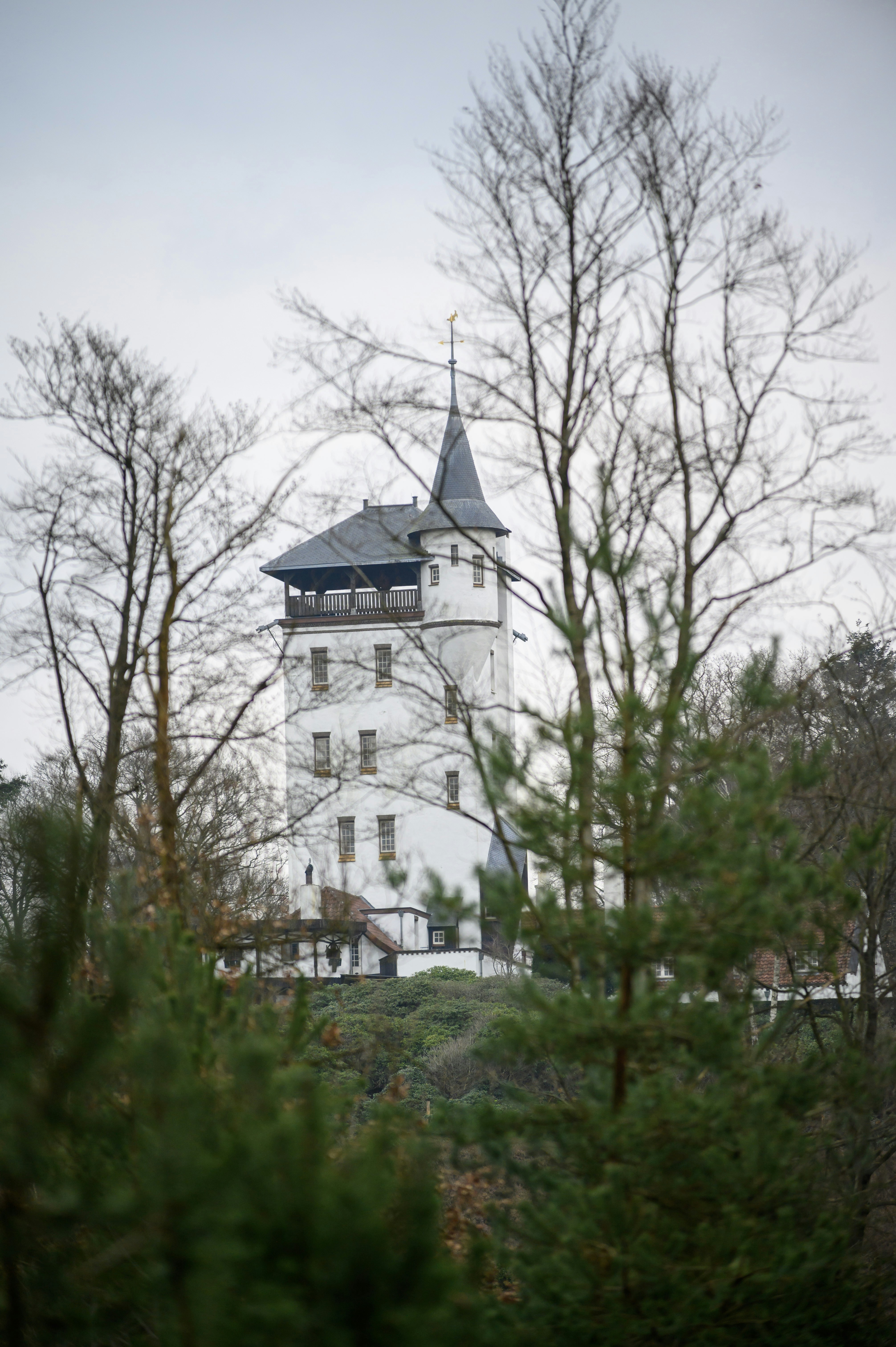 Photo by michelbosma