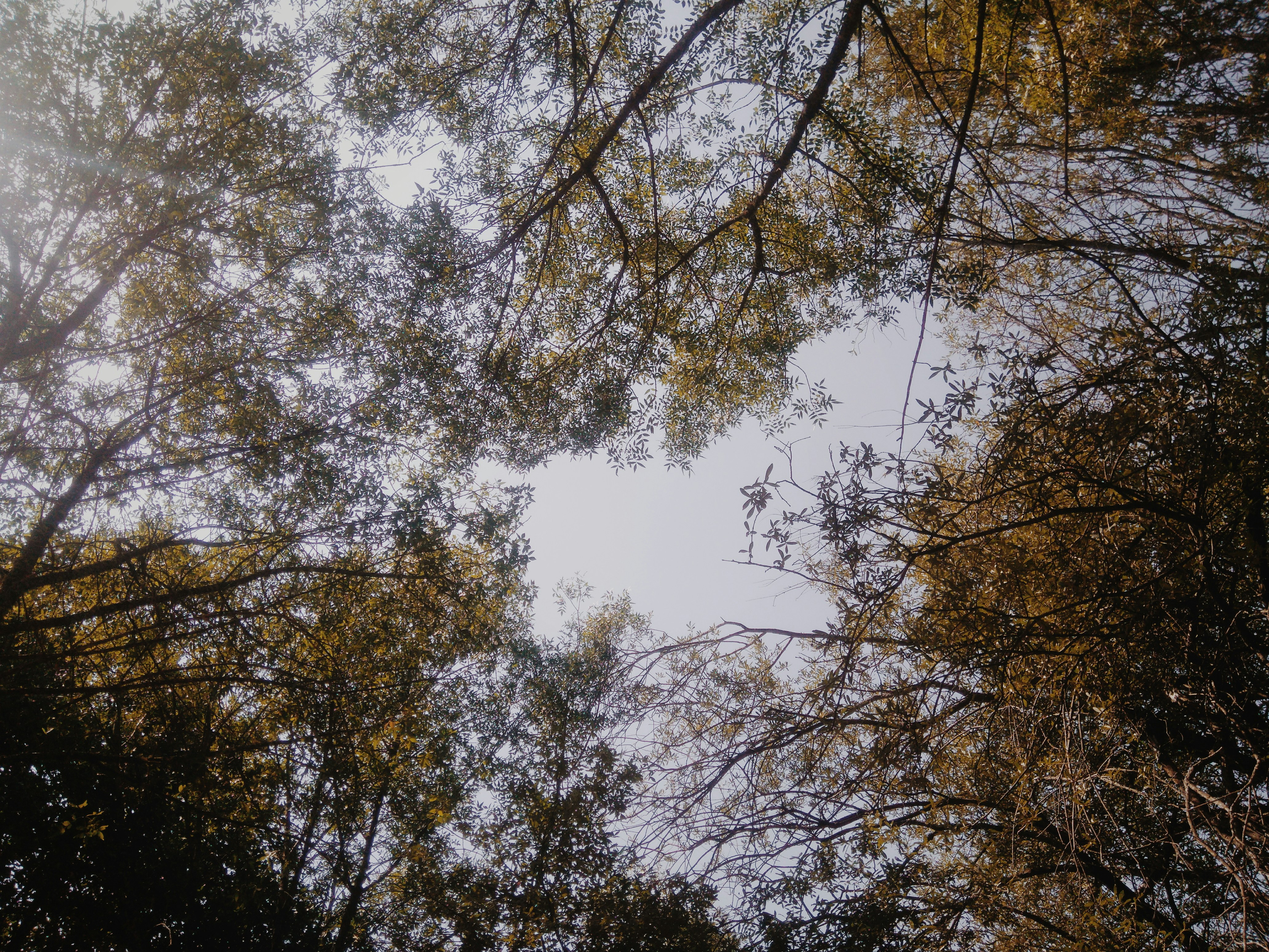 Photo by sofiavilaflor