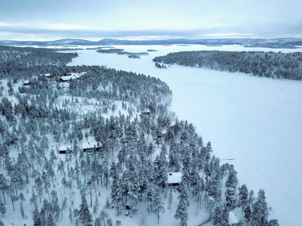 árvores e montanhas cobertas de neve