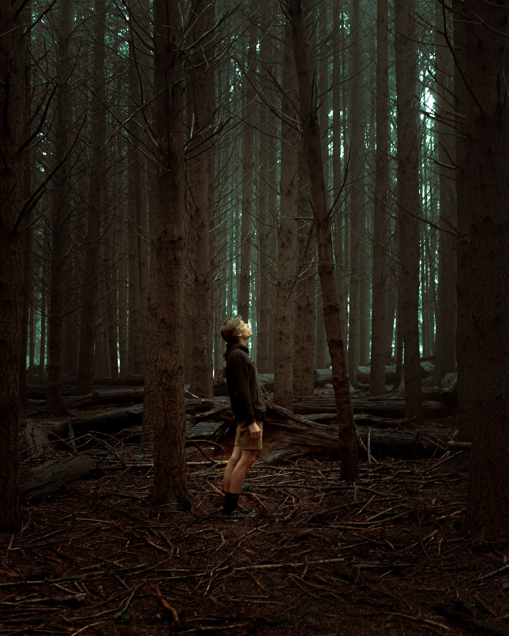woman in black jacket standing on brown tree log in forest during daytime