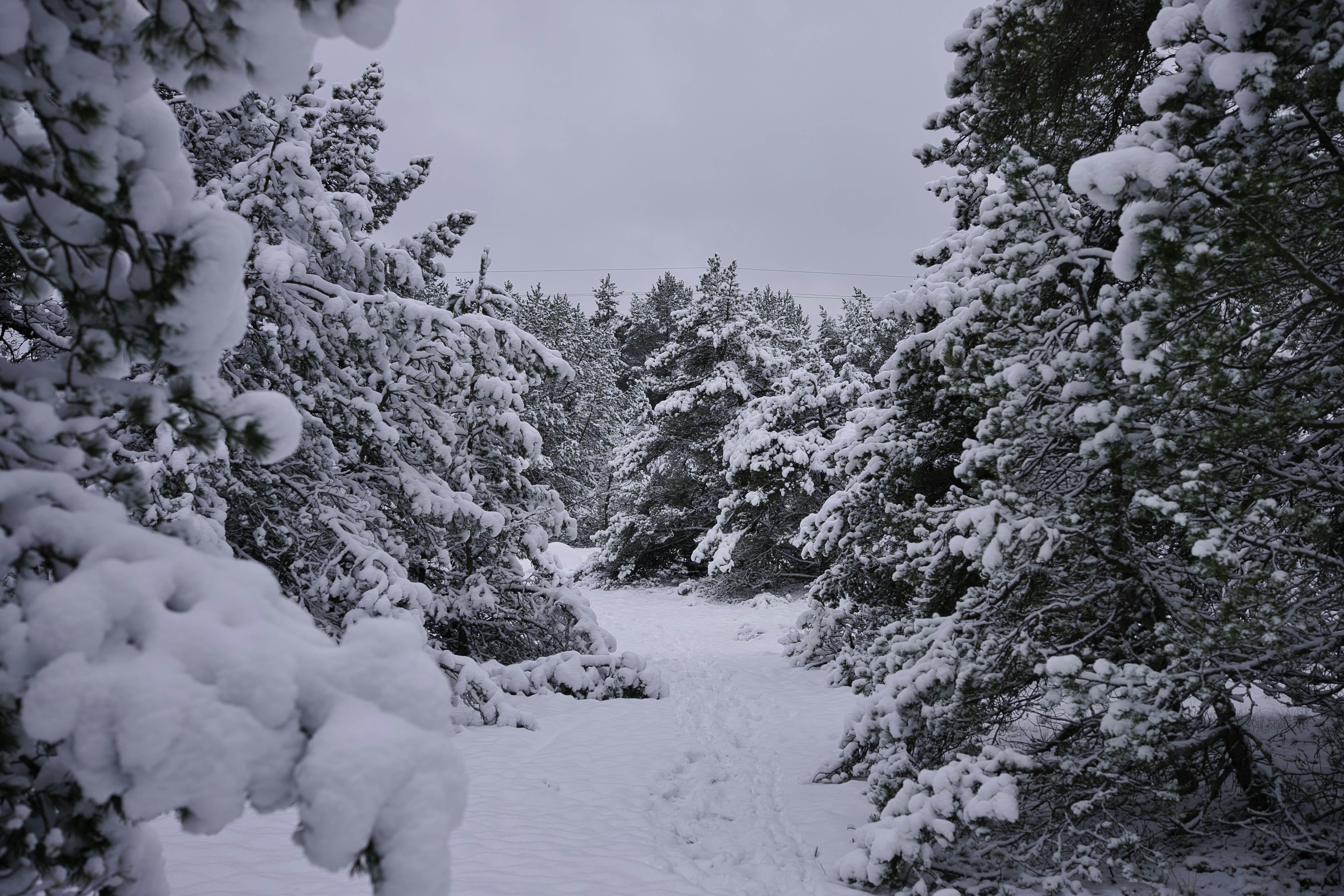 Photo by maksimshutov