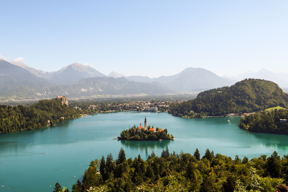 alberi verdi vicino allo specchio d'acqua durante il giorno