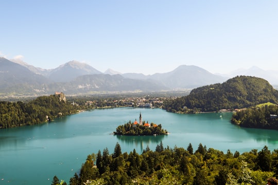 green trees near body of water during daytime in Ojstrica Slovenia