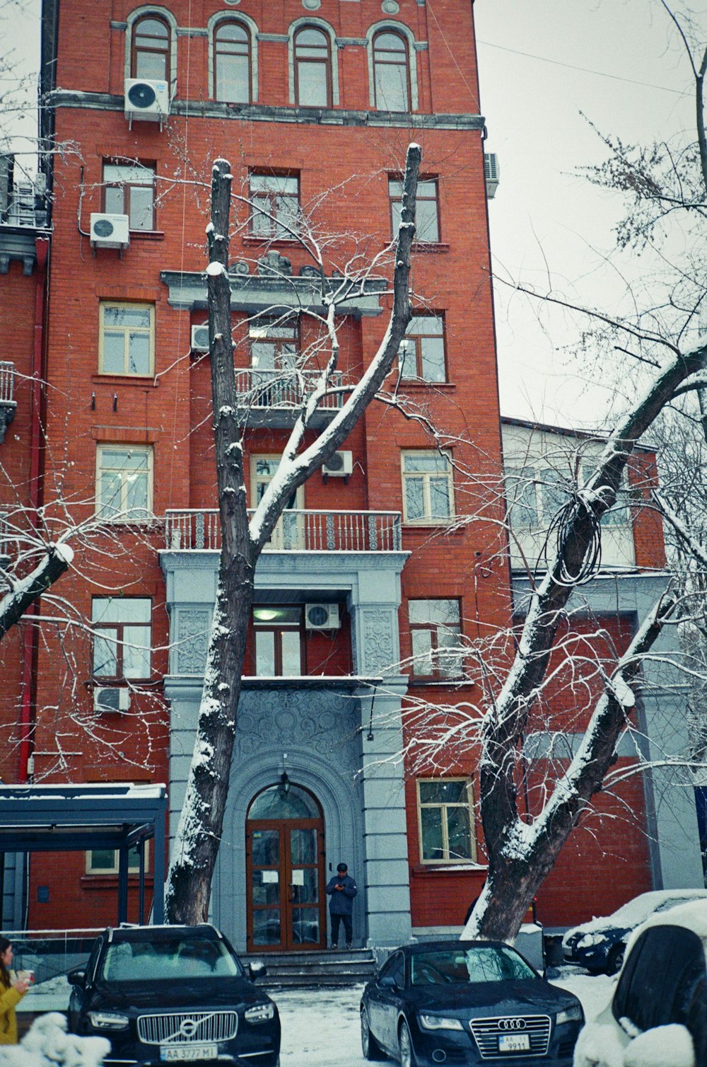 leafless tree near brown concrete building