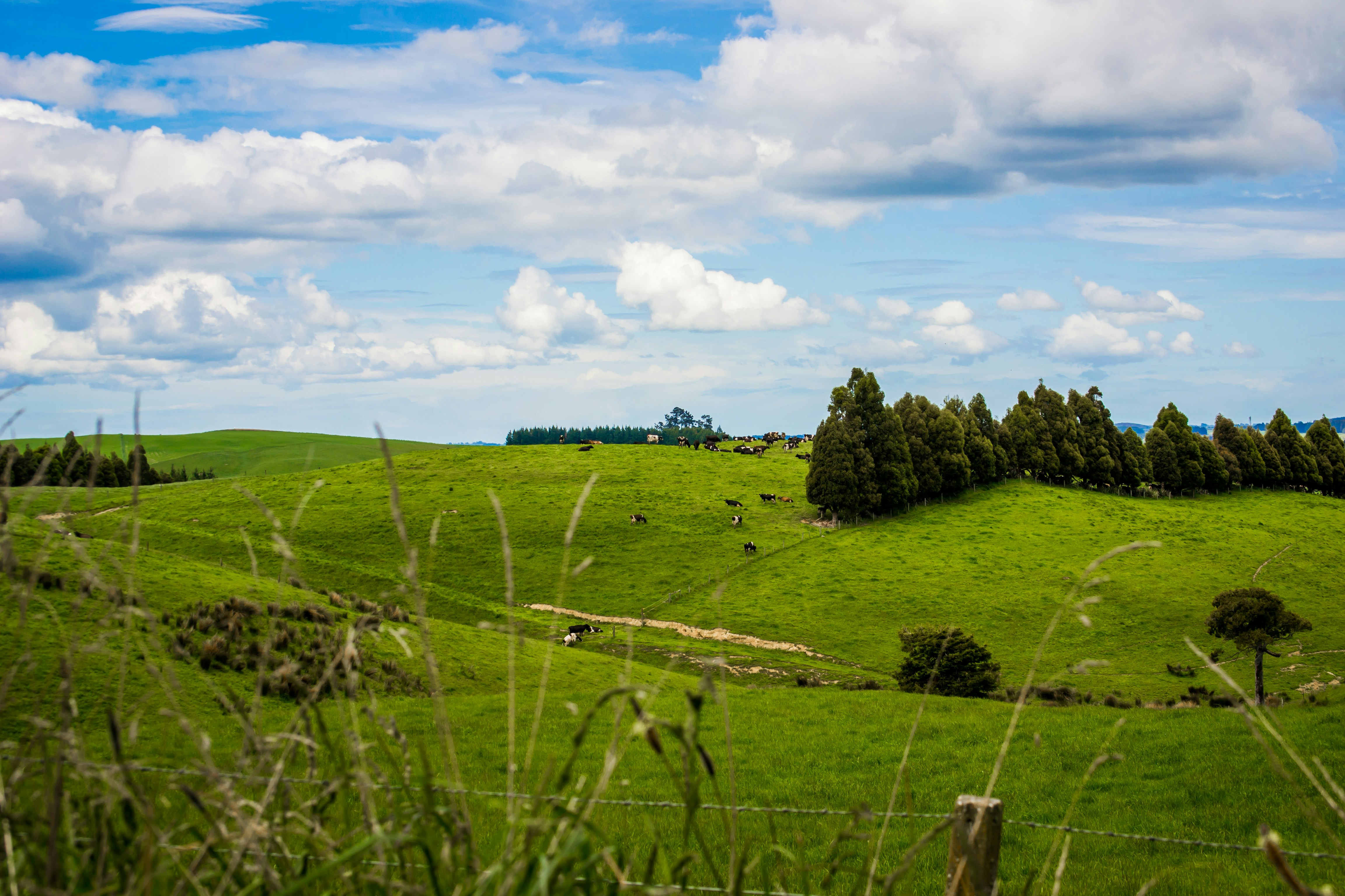 Photo by karissabestphotography