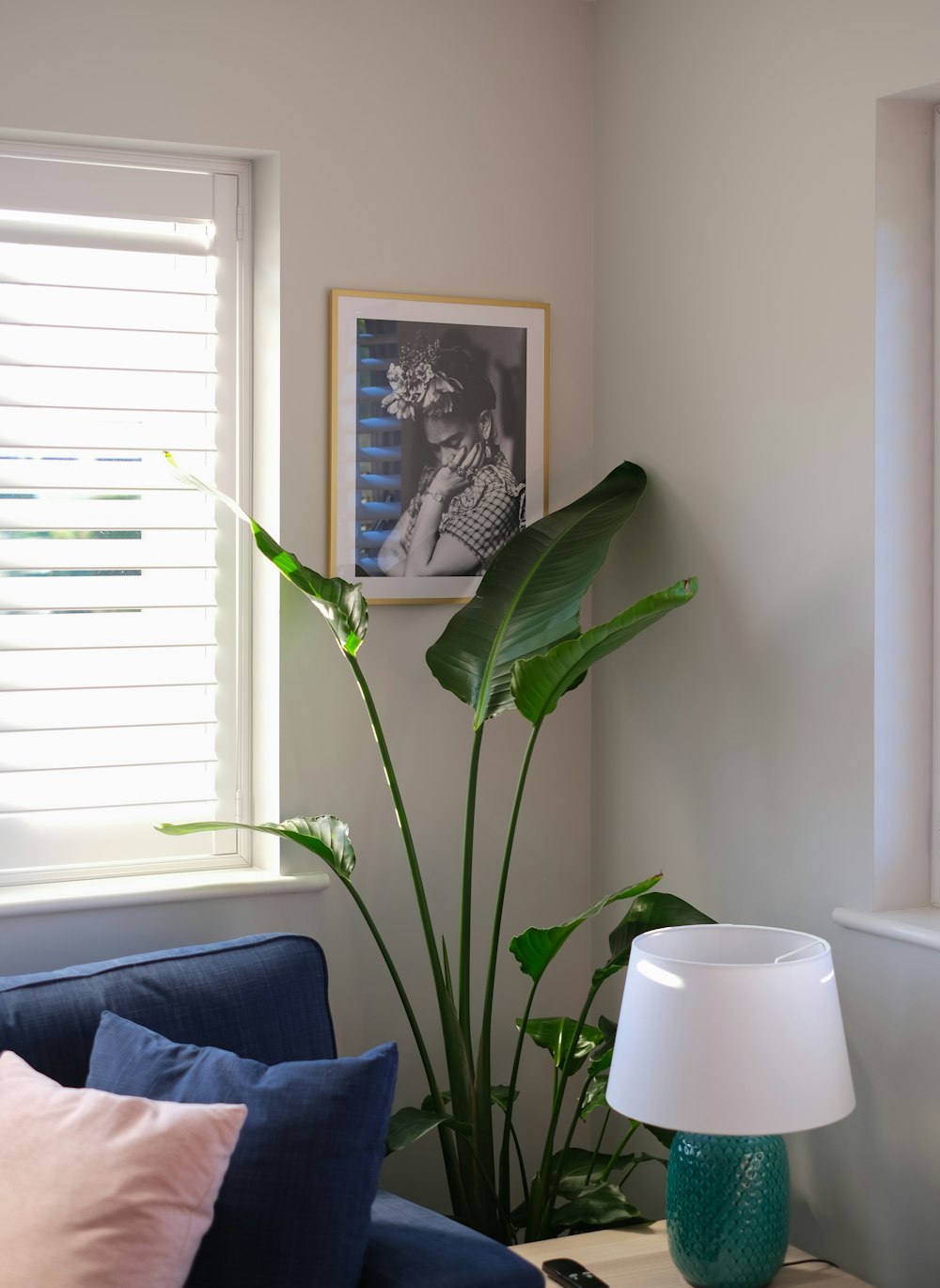 green plant on white ceramic pot