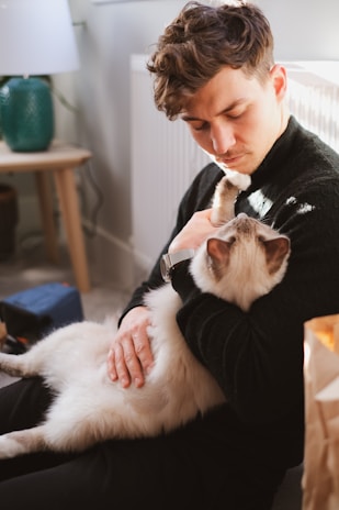 A vet performing a home visit, gently examining a relaxed cat in a bright living room setting.