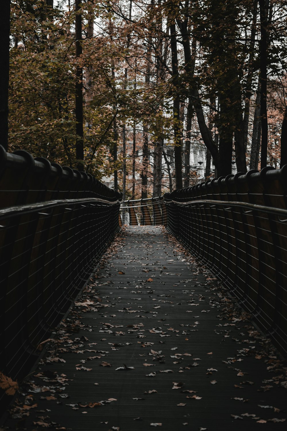 a walkway in the middle of a forest with leaves on the ground