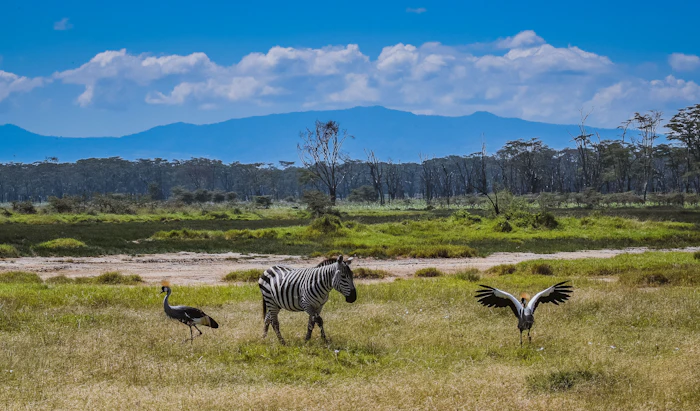 Lake Nakuru & Rift Valley photo 3