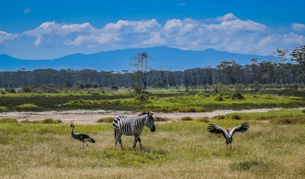 10 Days Nakuru, Bogoria, Baringo, Maralal, South Horr, Lake Turkana & Samburu