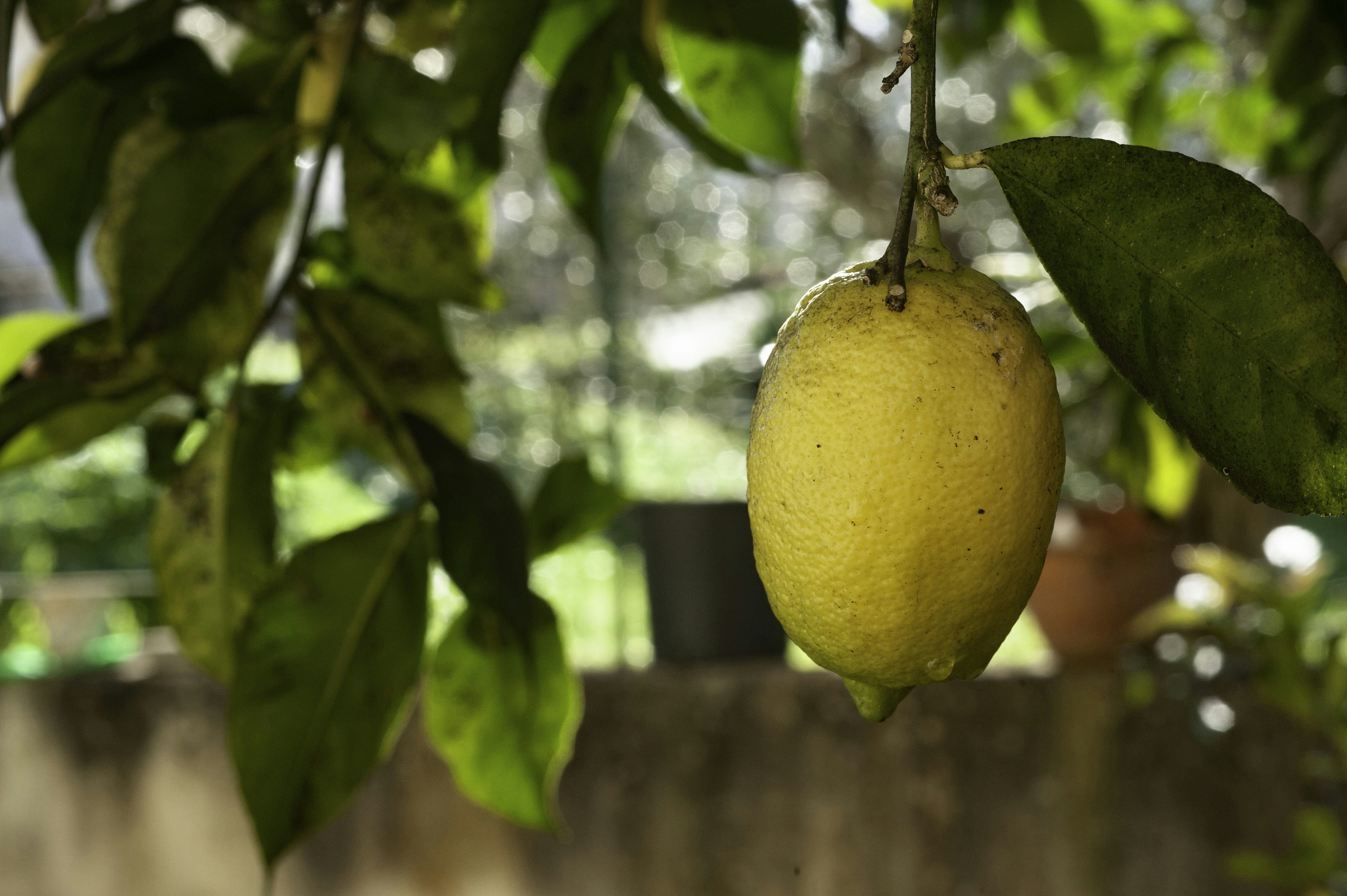 Photo by mimmomiccolis