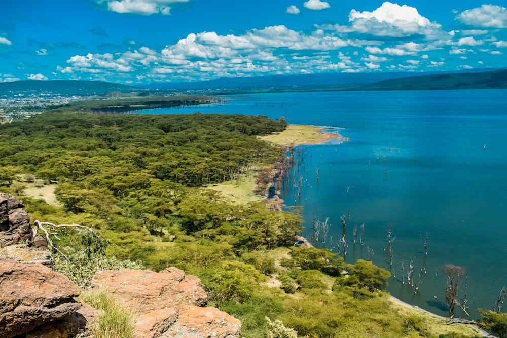 Champ d’herbe verte près du plan d’eau bleu sous le ciel bleu pendant la journée