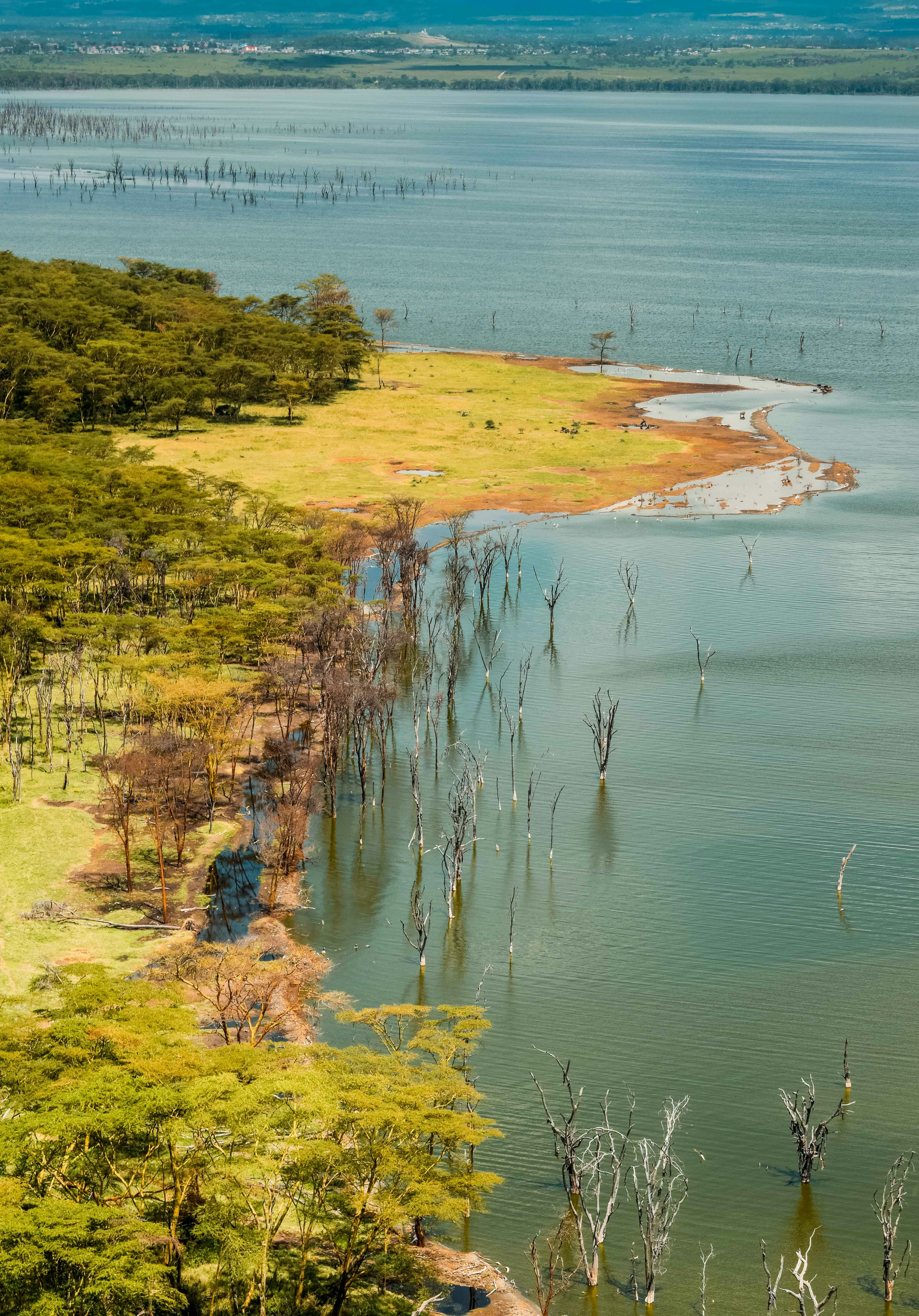 Lake Bogoria National Reserve