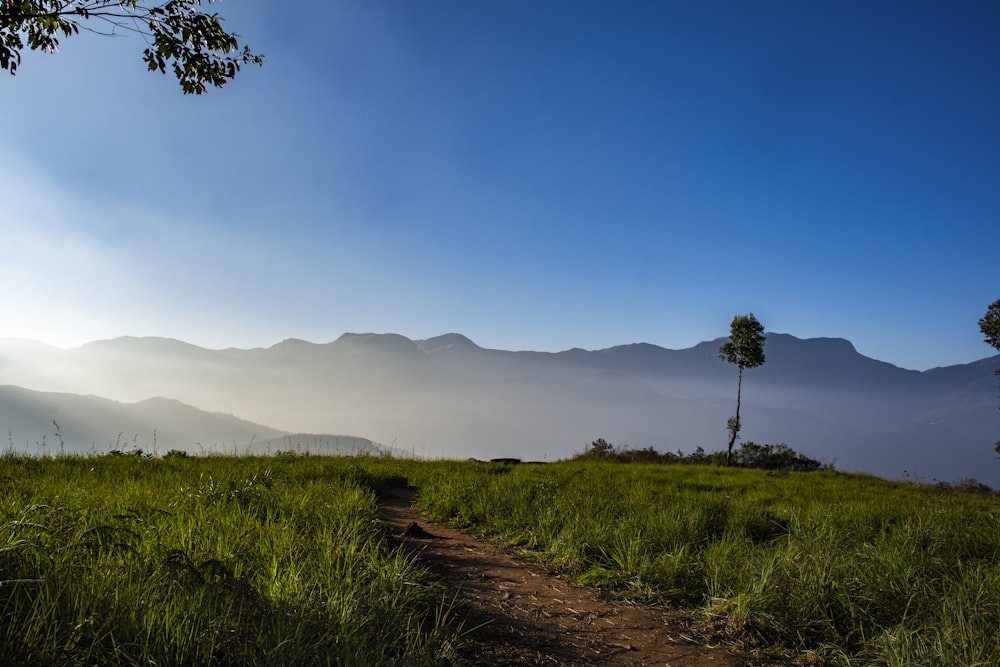 green grass field near mountain under blue sky during daytime