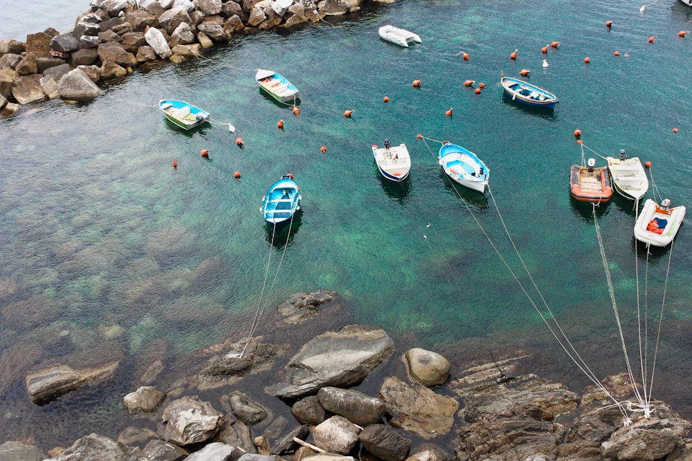 white and green boat on water during daytime