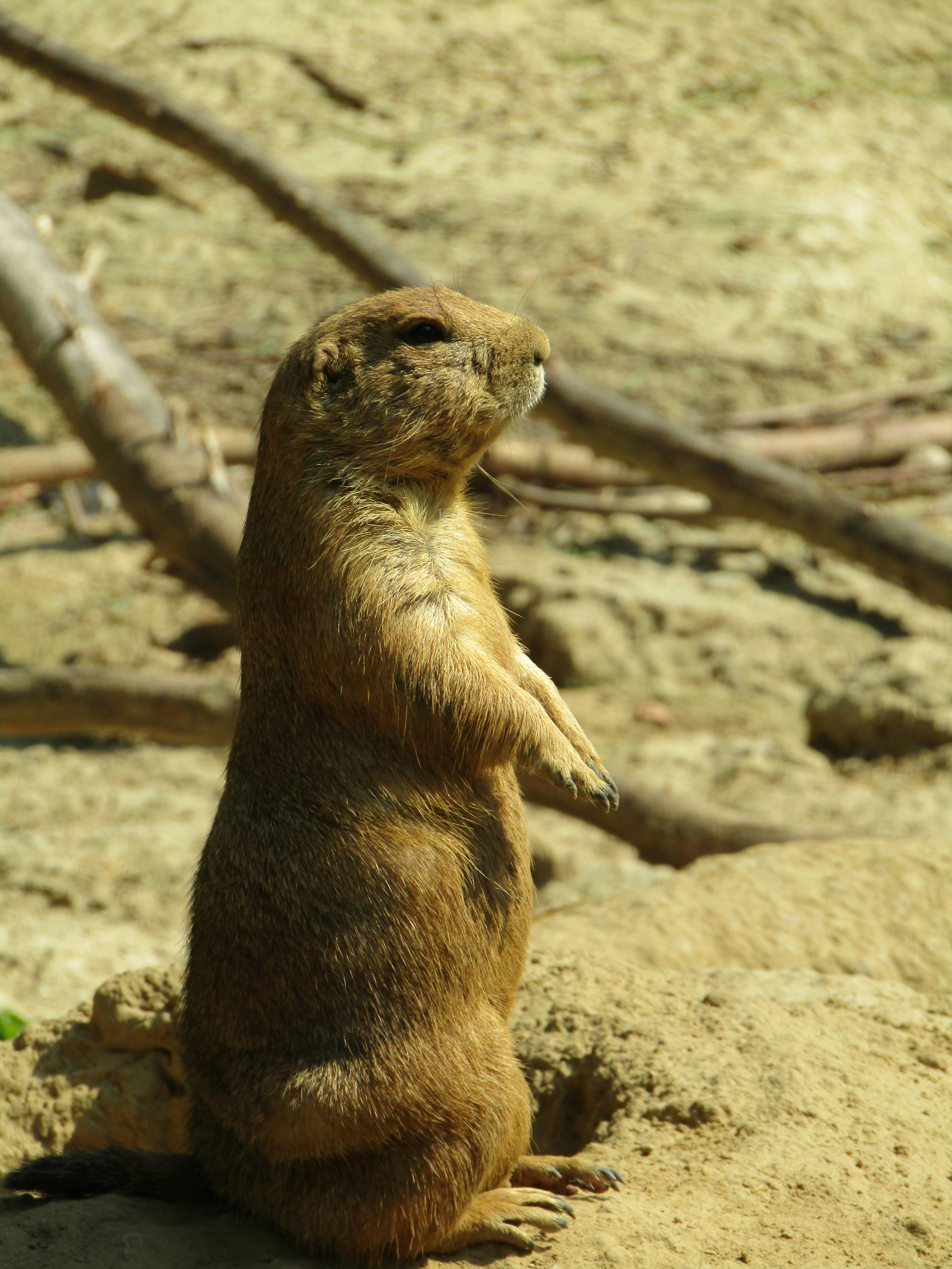 Photo by romyvreeswijk