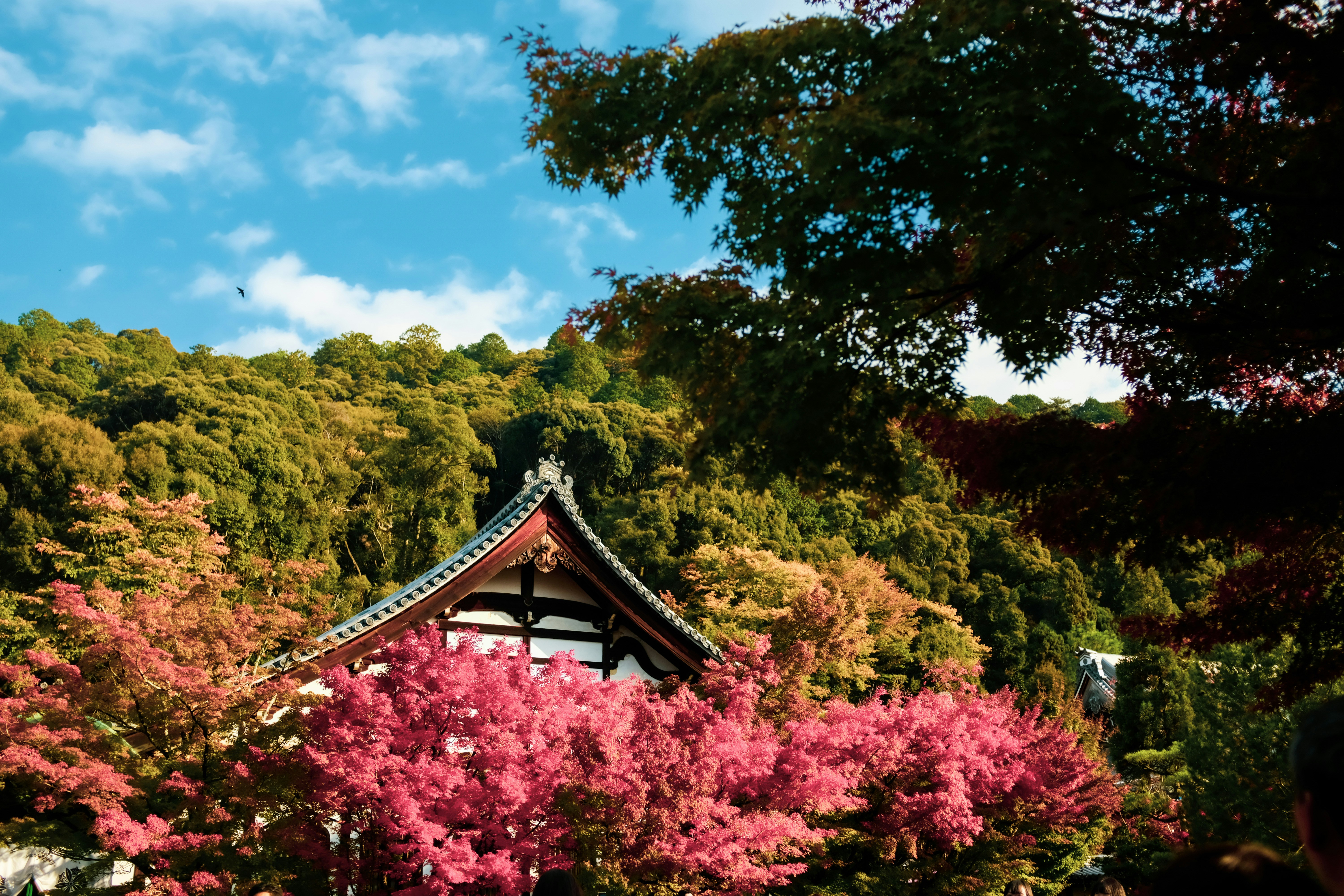 Photo by jo_sorgenfri