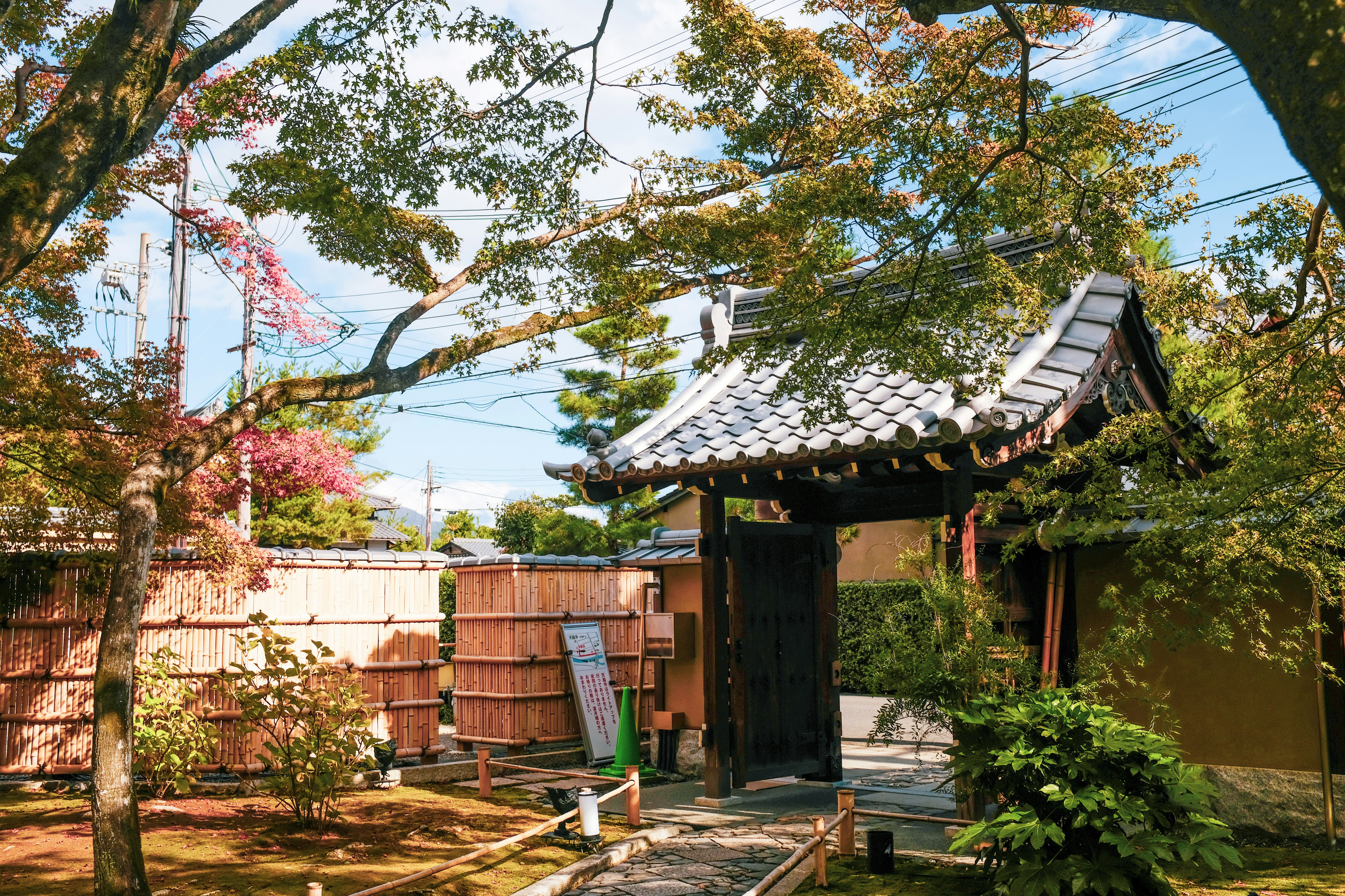 Photo by jo_sorgenfri