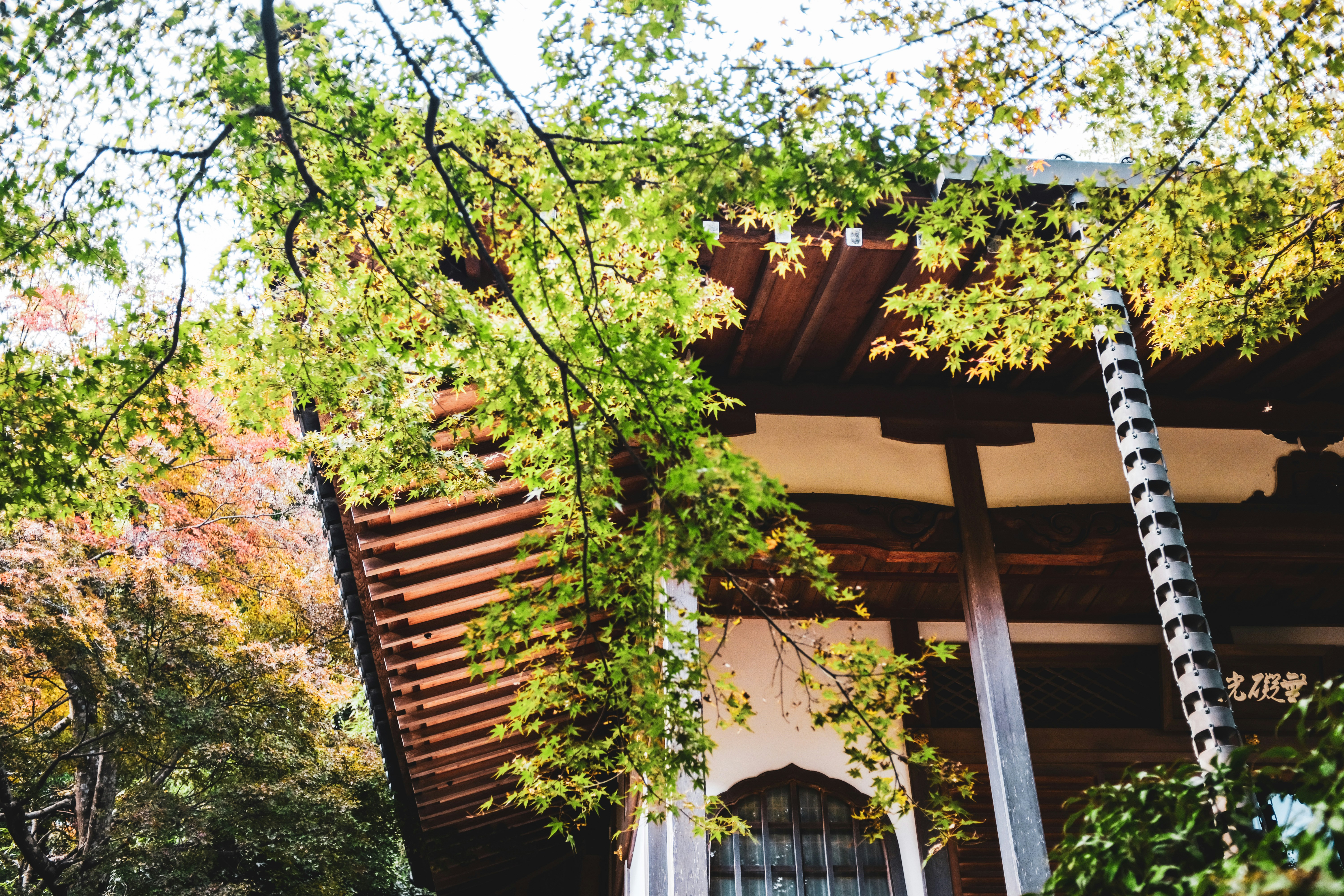 Photo by jo_sorgenfri