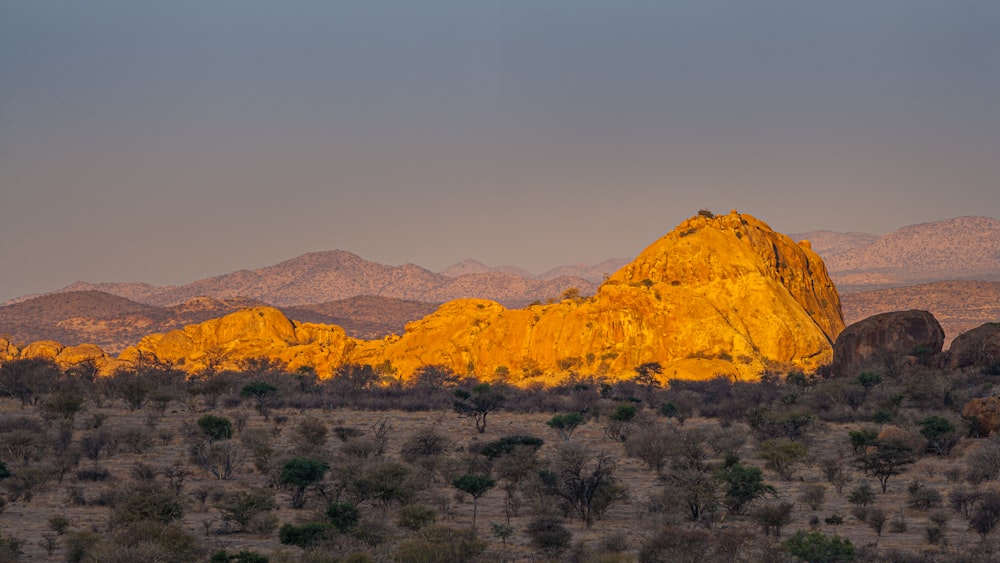 a mountain range with trees and bushes in the foreground