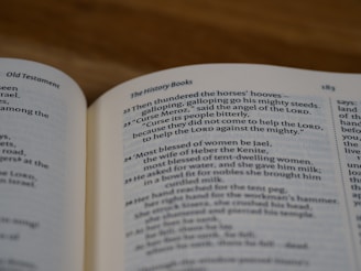 Open book with text in English, showing a page from the Bible, specifically the Old Testament. The page details a historical passage with verses numbered and formatted in two columns.