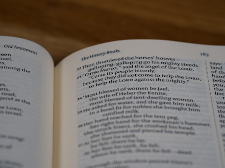 Open book with text in English, showing a page from the Bible, specifically the Old Testament. The page details a historical passage with verses numbered and formatted in two columns.