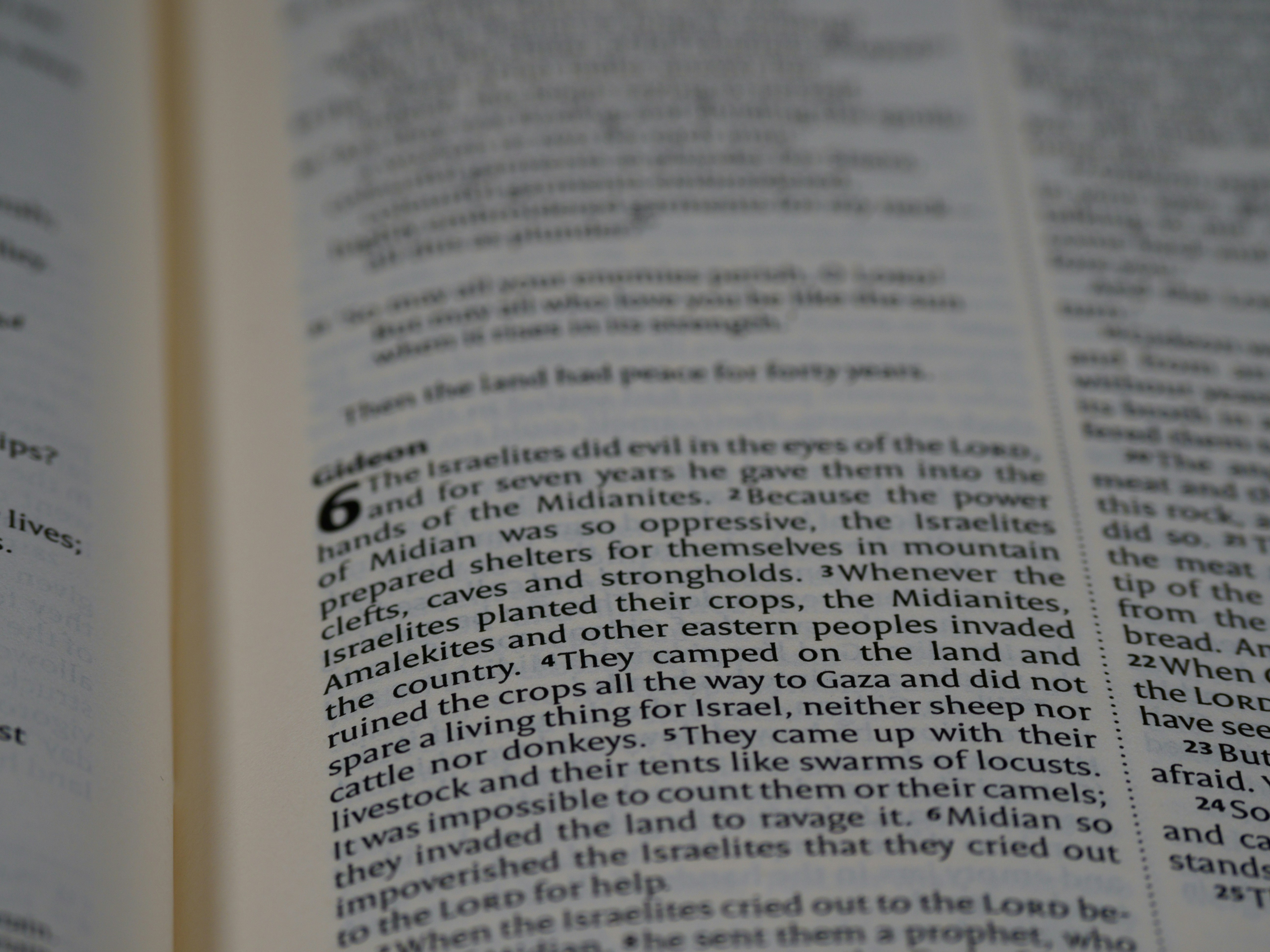 Photo by brett_jordan