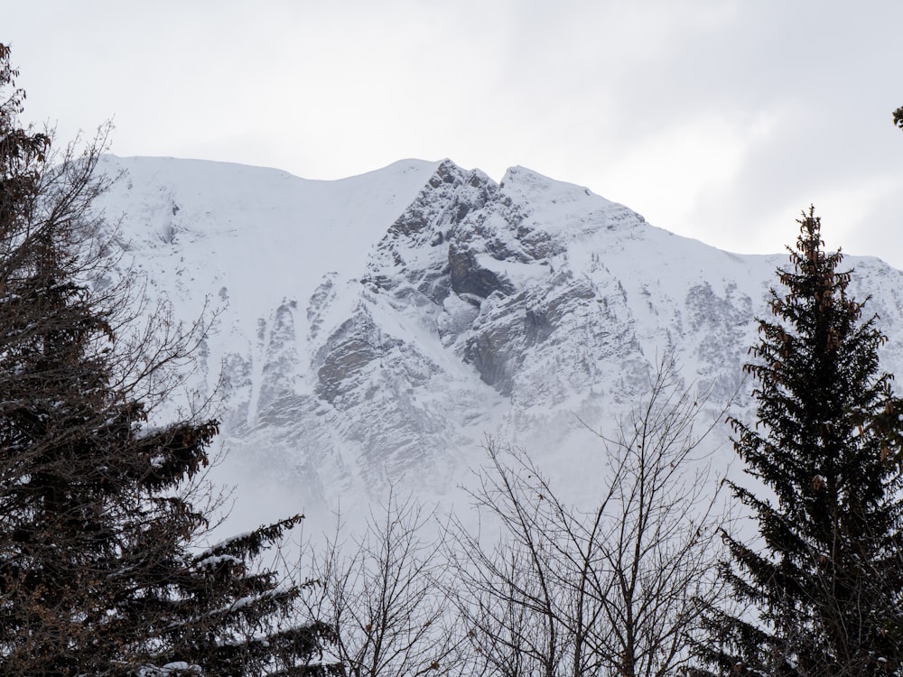 snow covered mountain during daytime