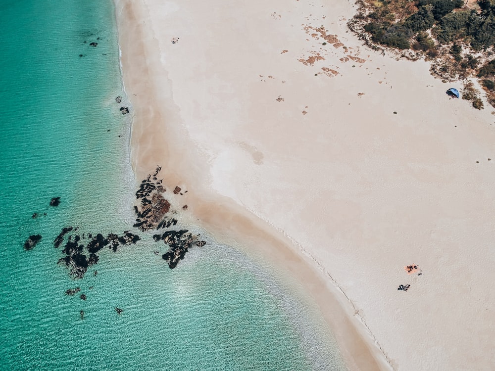 aerial view of people on beach during daytime