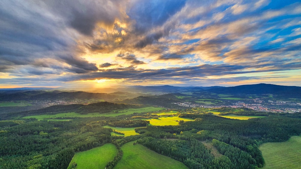 Campo de hierba verde bajo el cielo azul durante el día