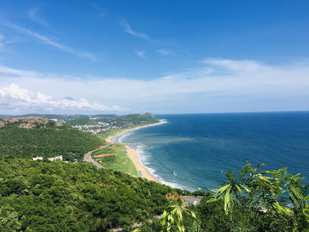 昼間の青空の下、青い海辺の緑の木々