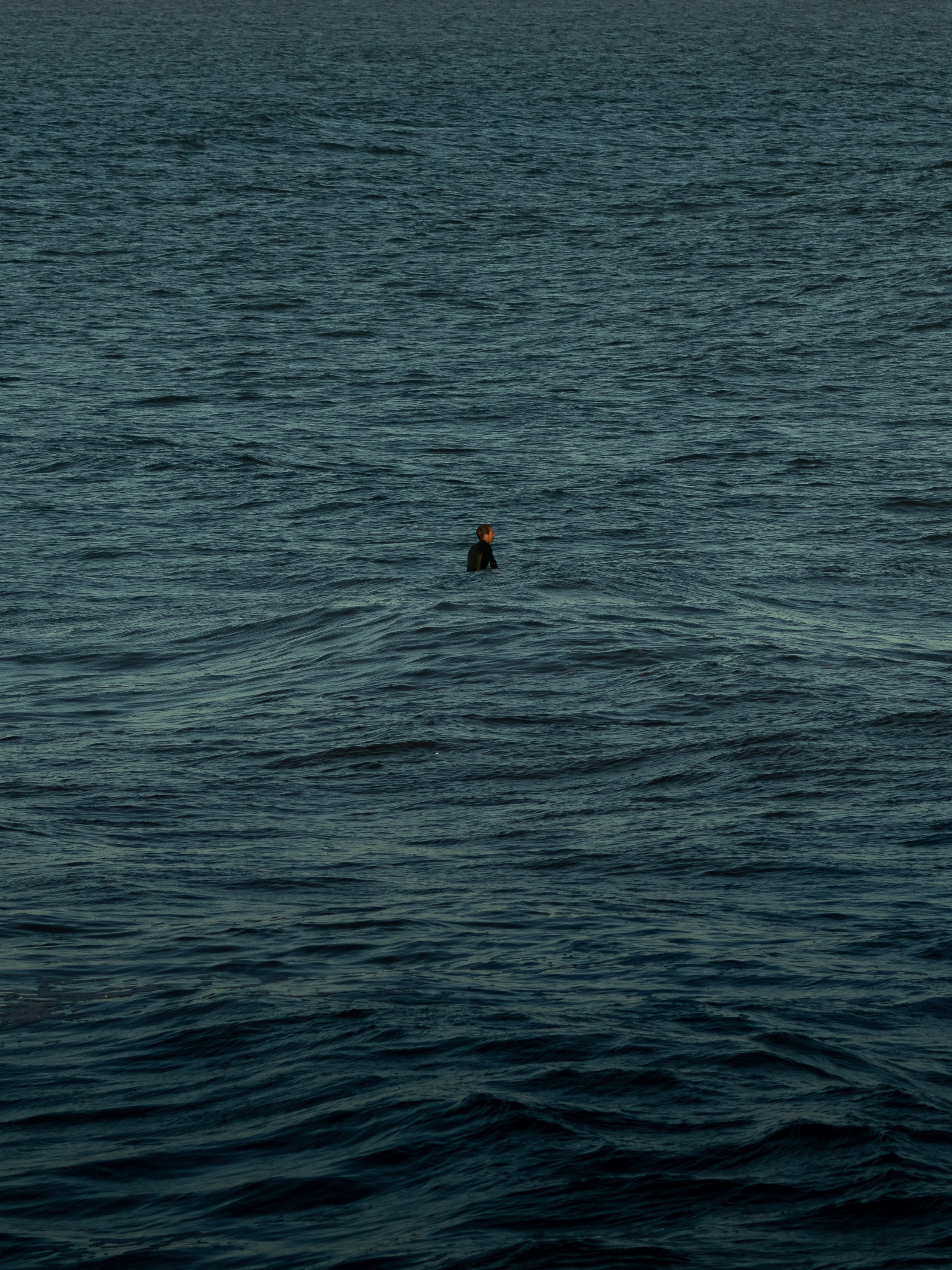 Photo by guzmanbarquin