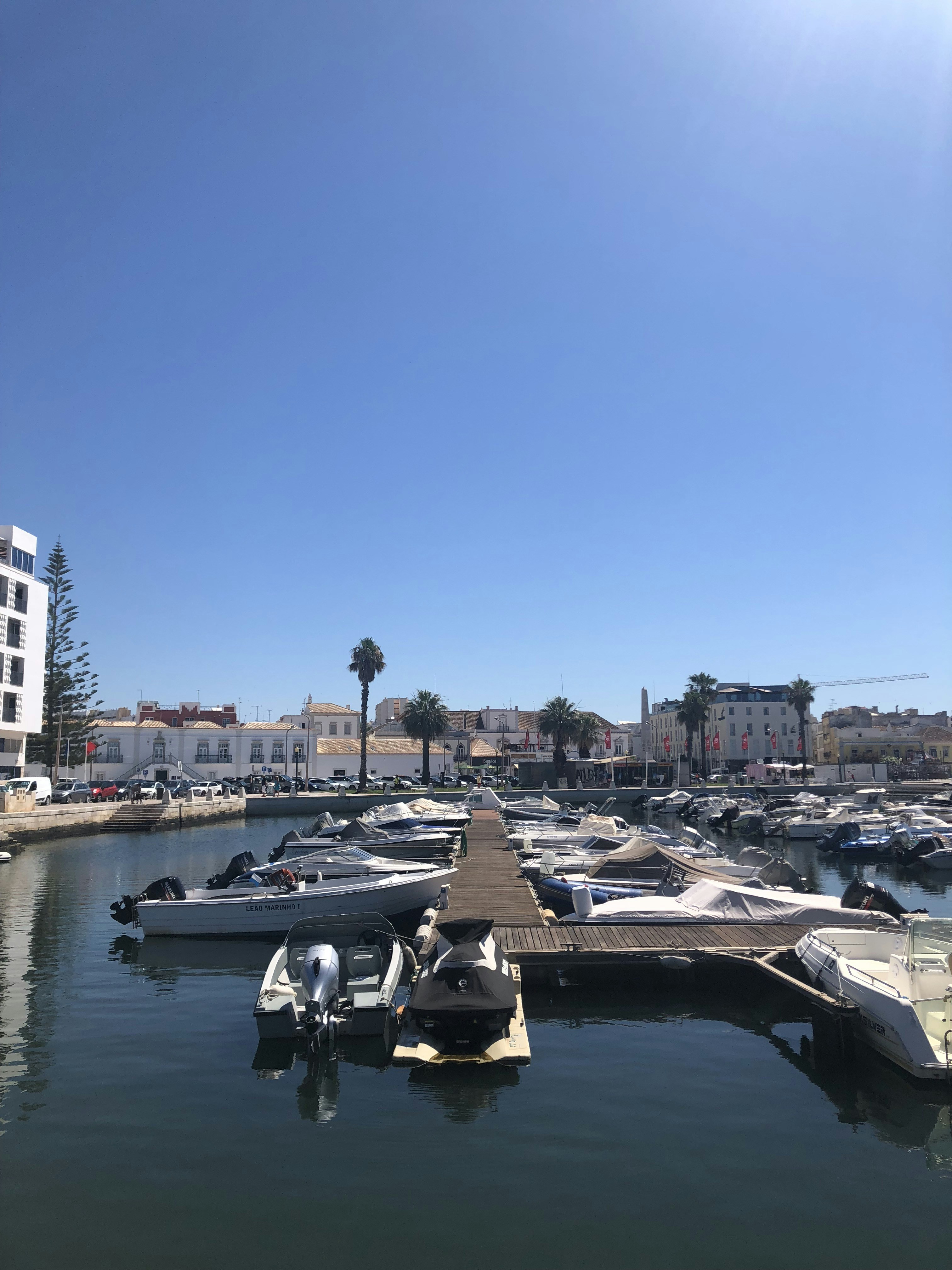 white and black boat on water near city buildings during daytime