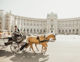 man riding horse carriage on road during daytime