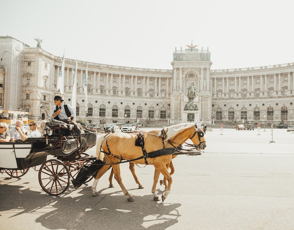 man riding horse carriage on road during daytime