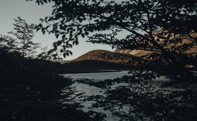A quiet lot near a small lake with trees.