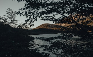 A quiet lot near a small lake with trees.