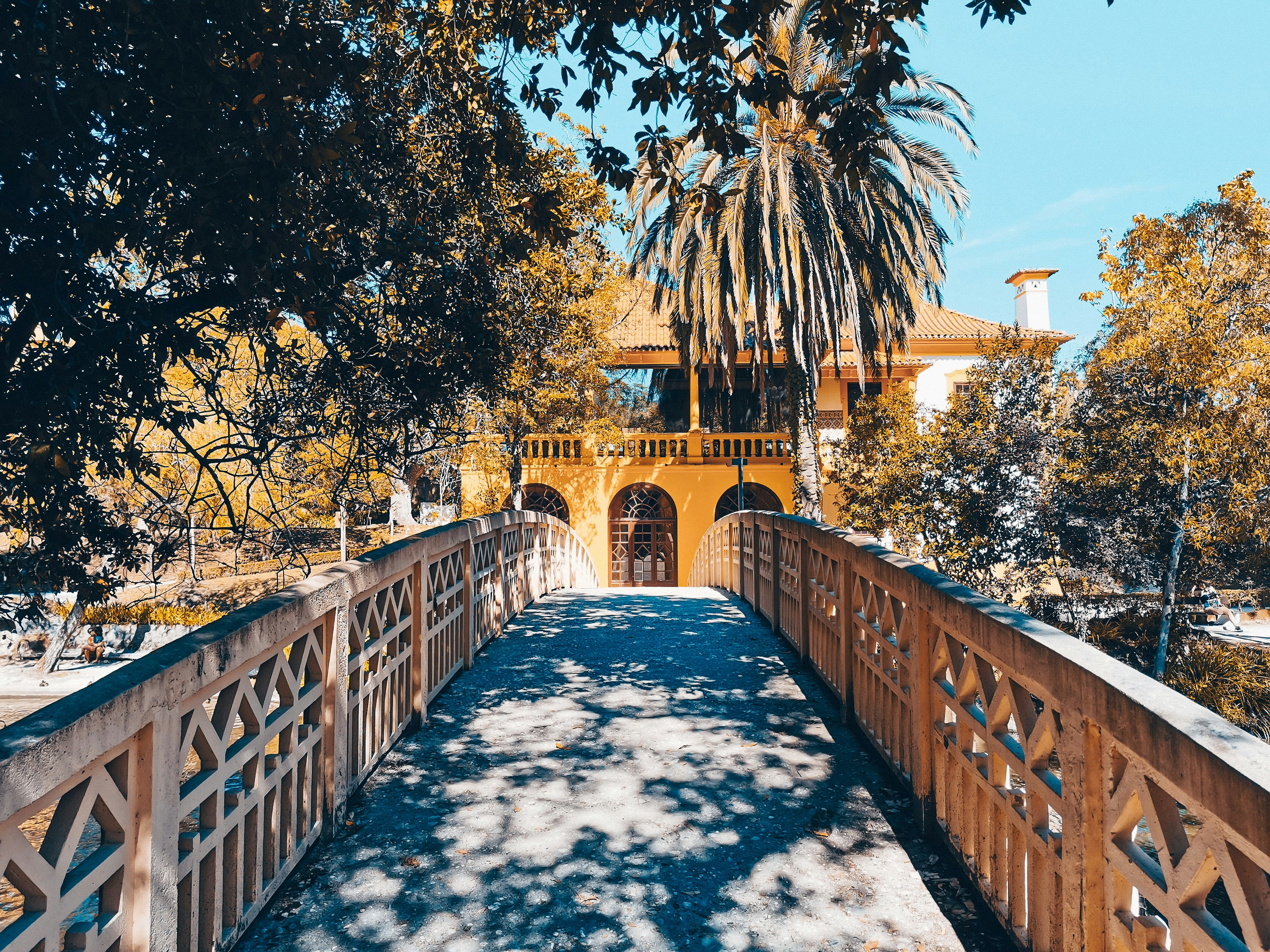 brown wooden bridge over river during daytime