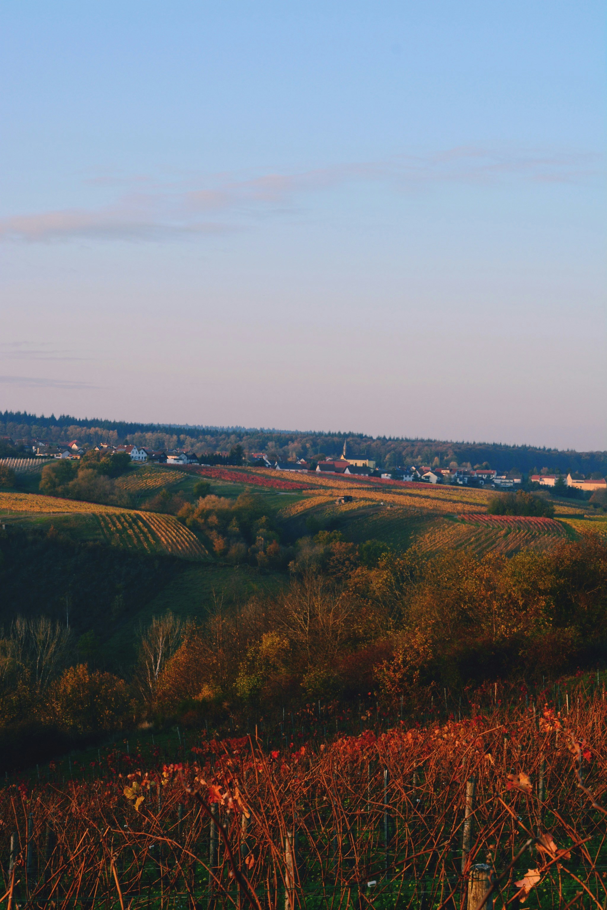 Photo by michael_ender