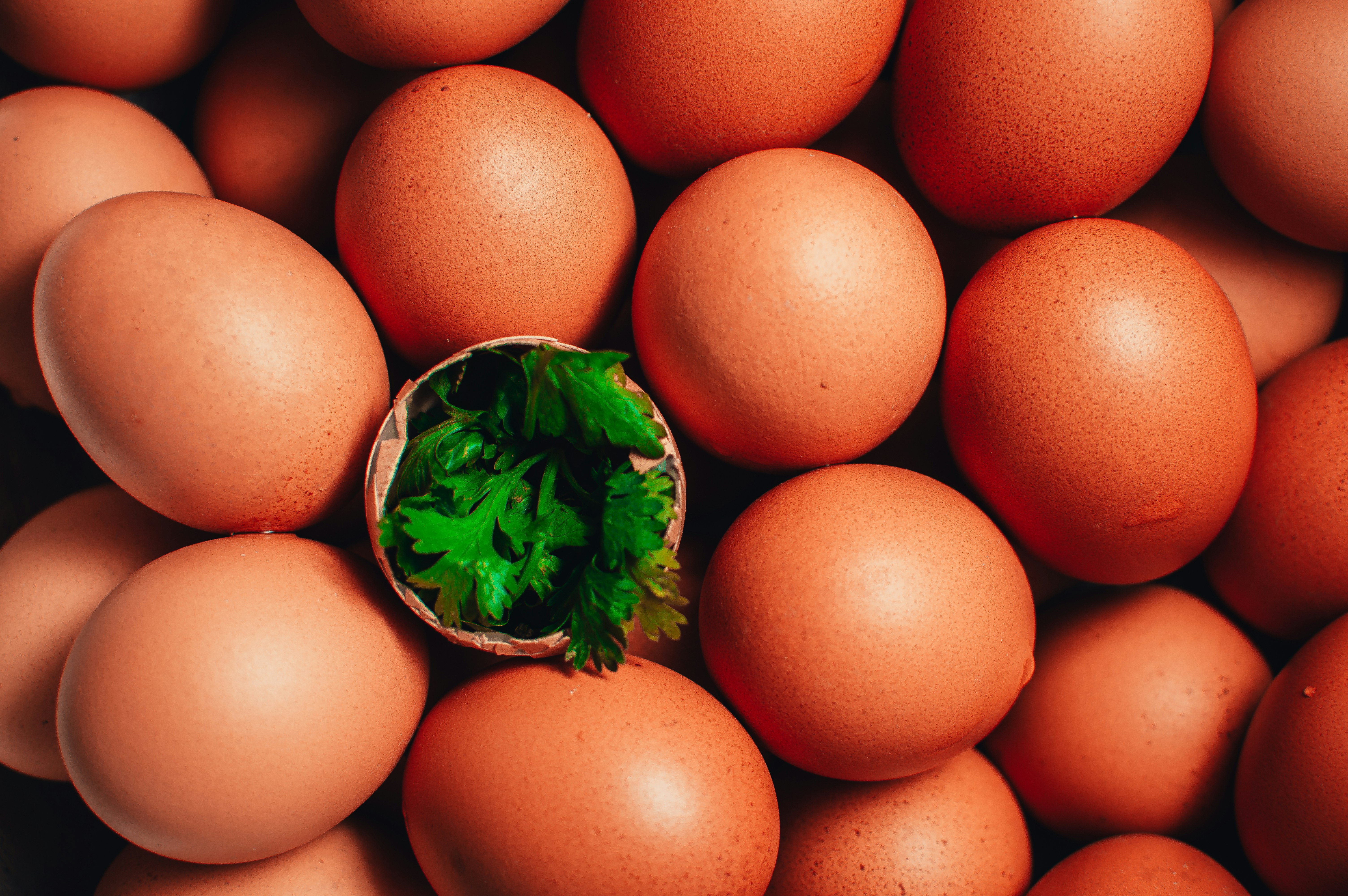 A individualidade bioquímica na nutrição