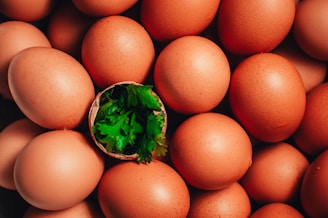 brown egg on brown egg tray