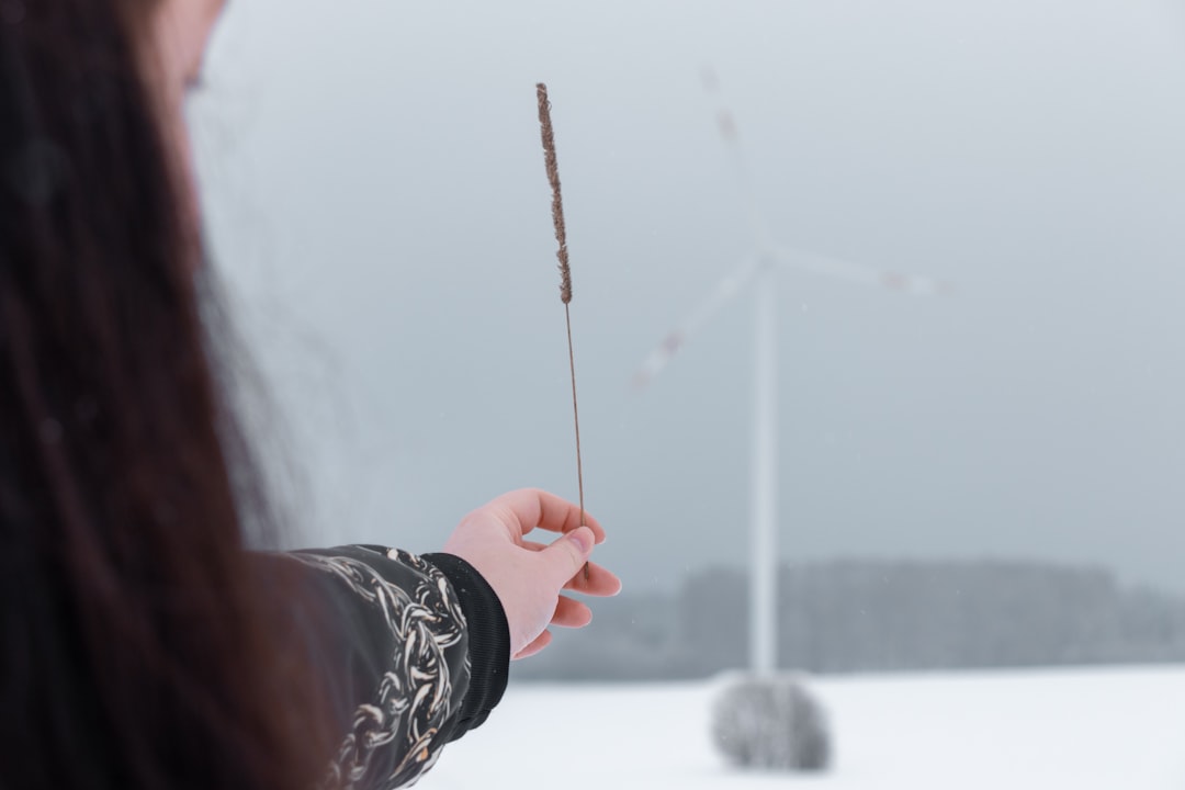 person holding white dandelion flower