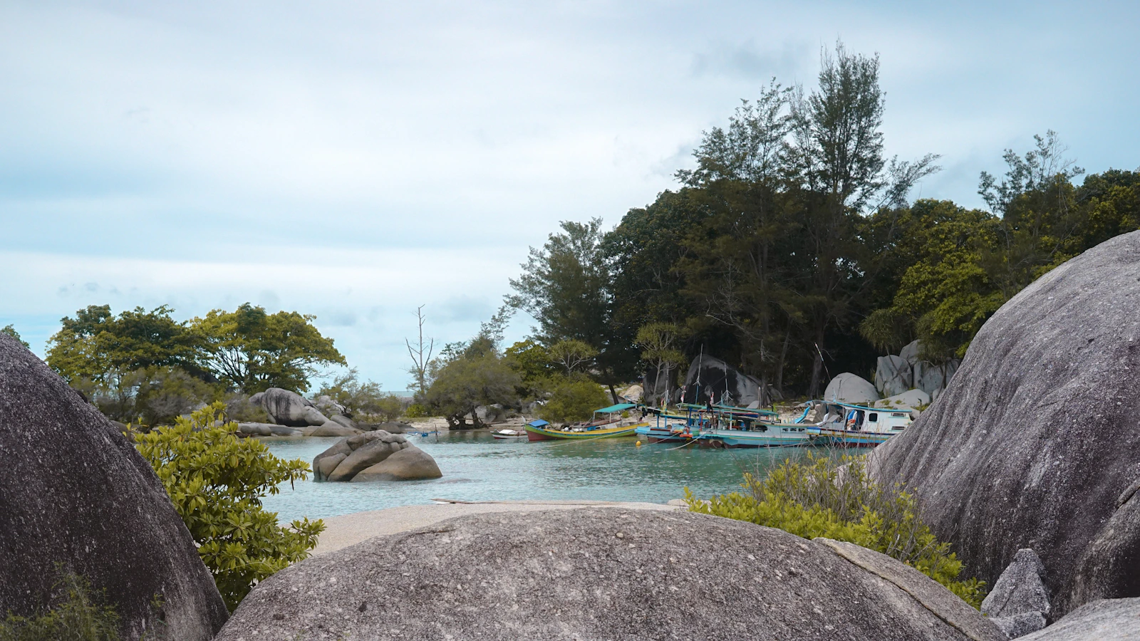 Hutan pesisir dan pepohonan hijau rindang di Pulau Leebong Belitung