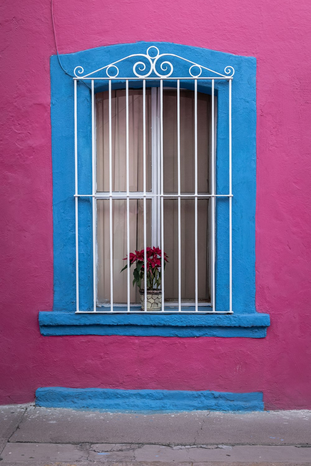 a pink building with a blue window and a vase of flowers