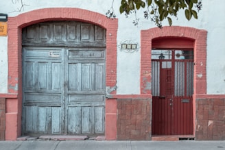 red wooden door beside green plant