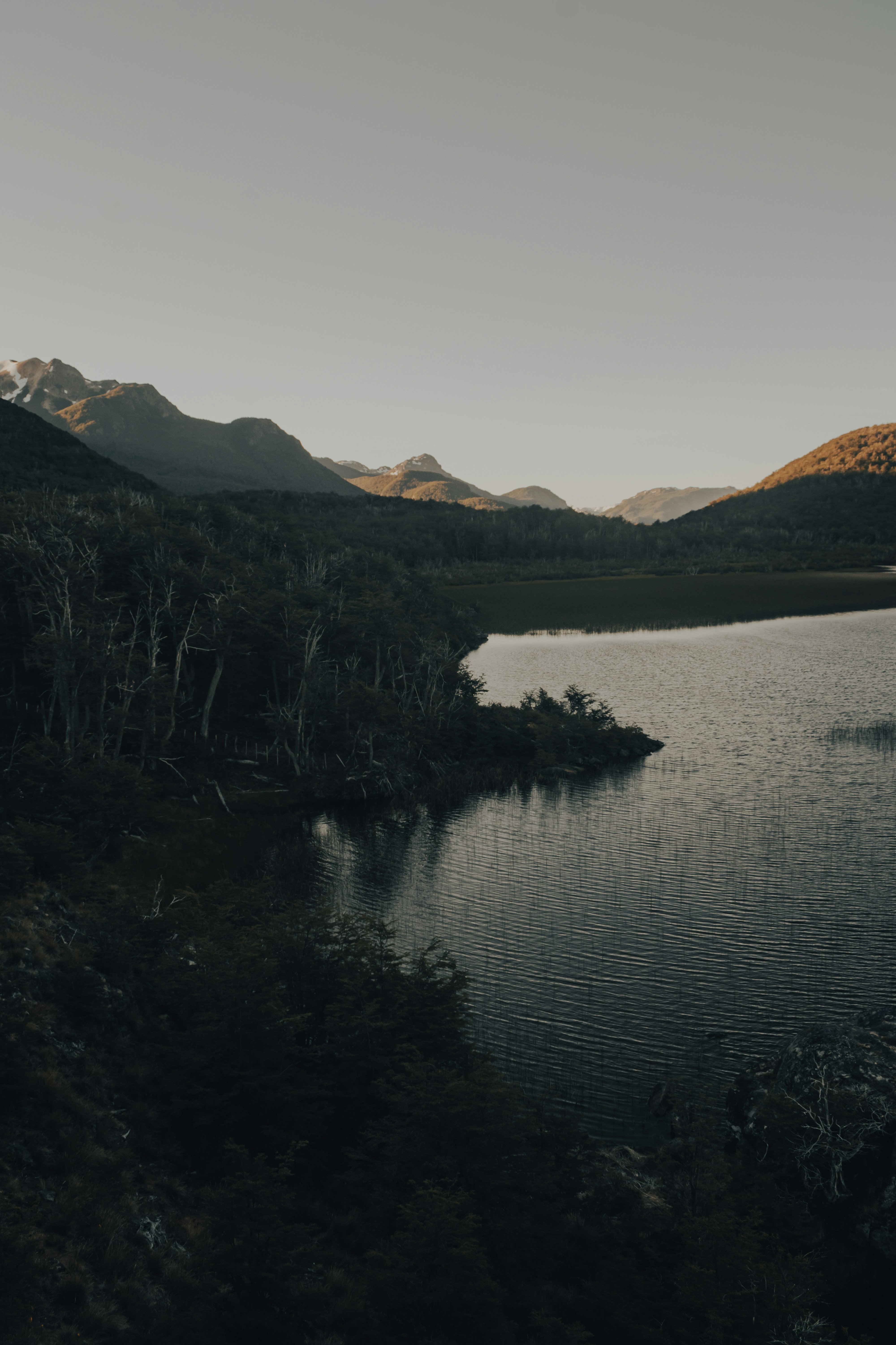 Photo by gasparzaldo