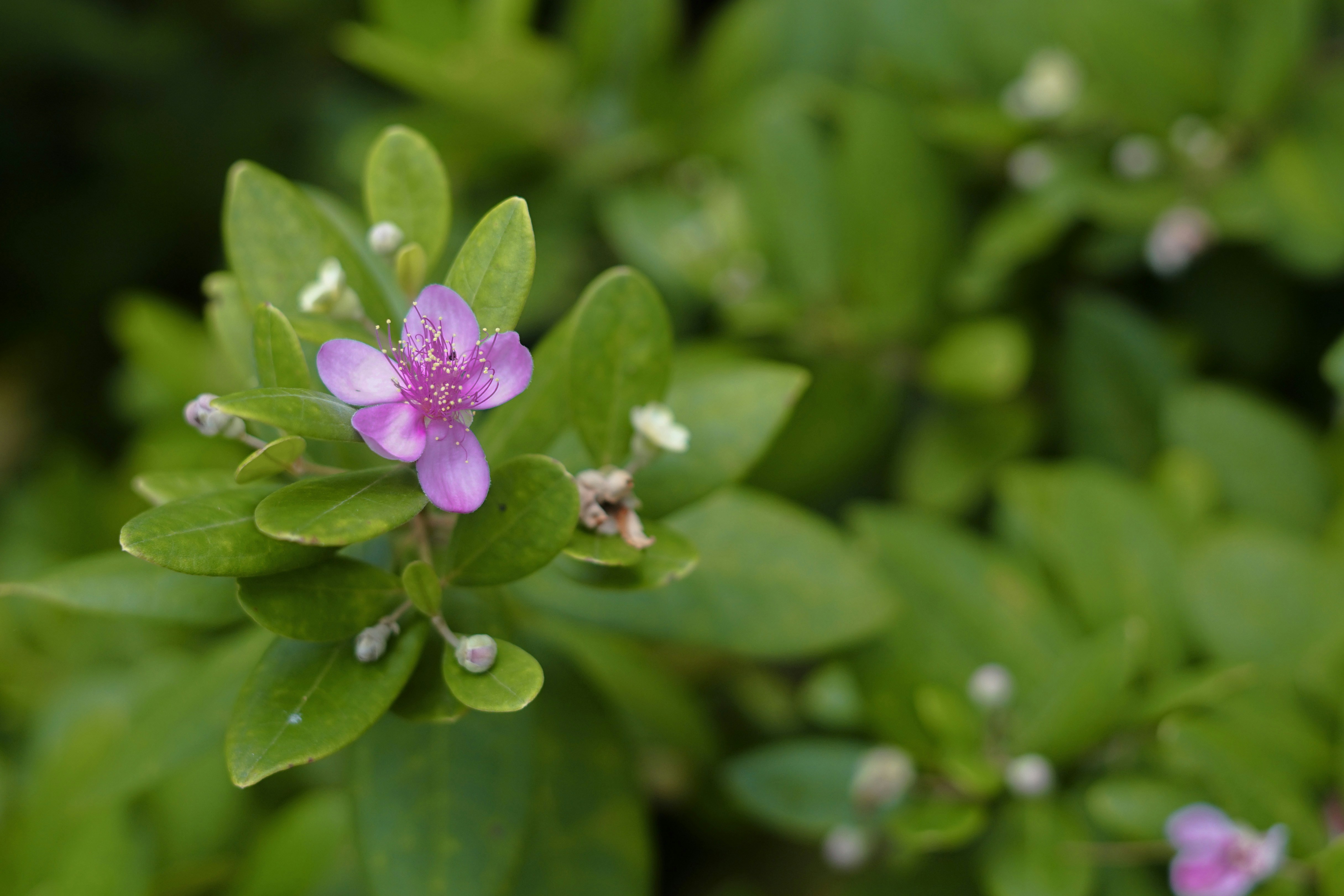 Photo by framesbynad