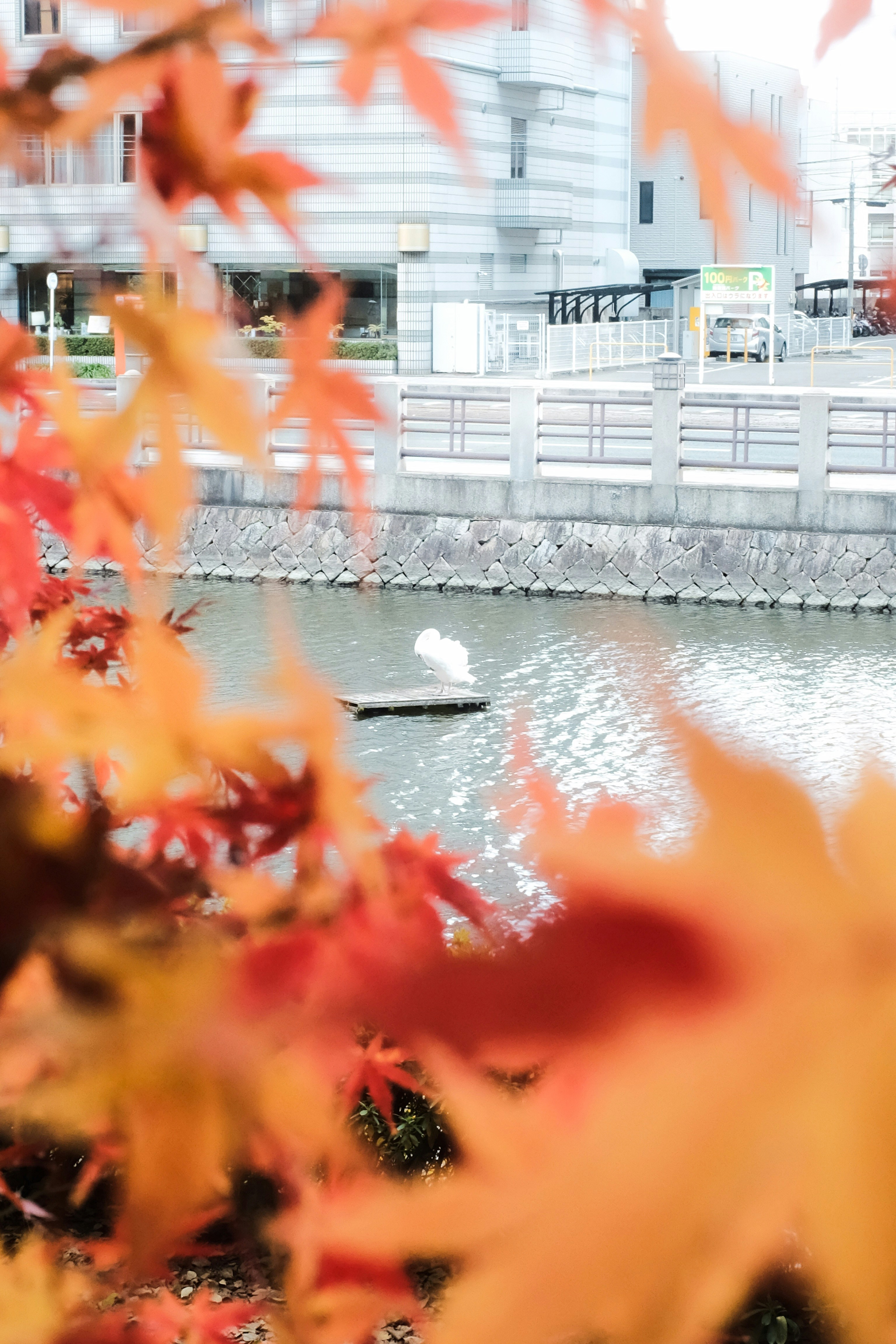 Photo by mak_jp