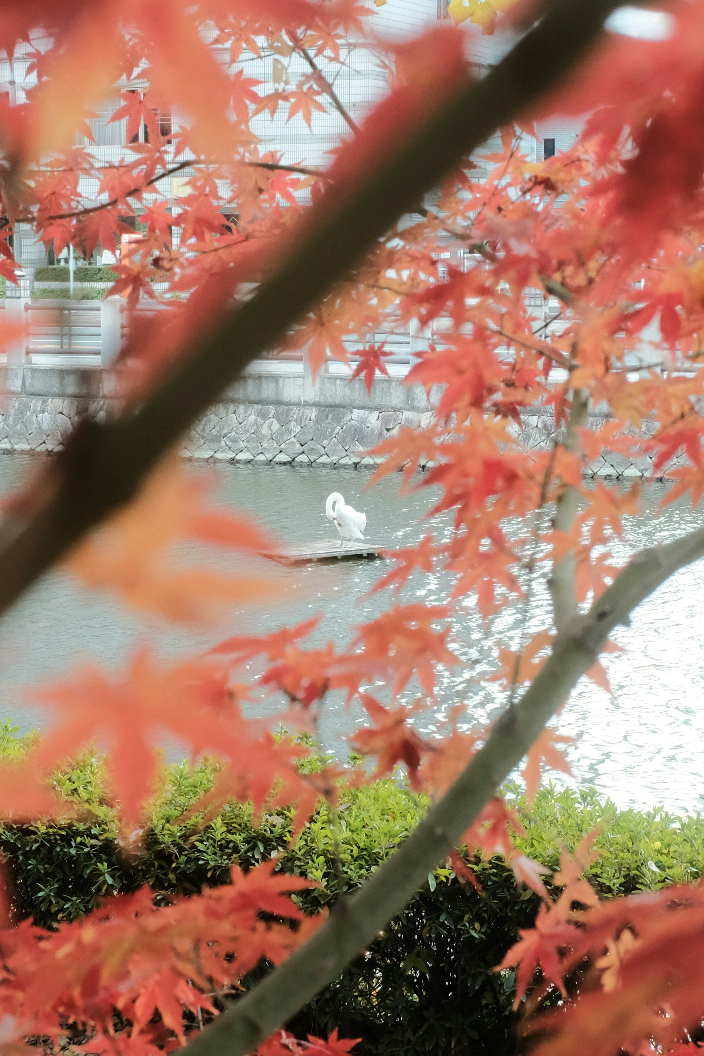 Photo by mak_jp