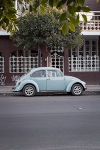 blue volkswagen beetle parked beside green tree during daytime